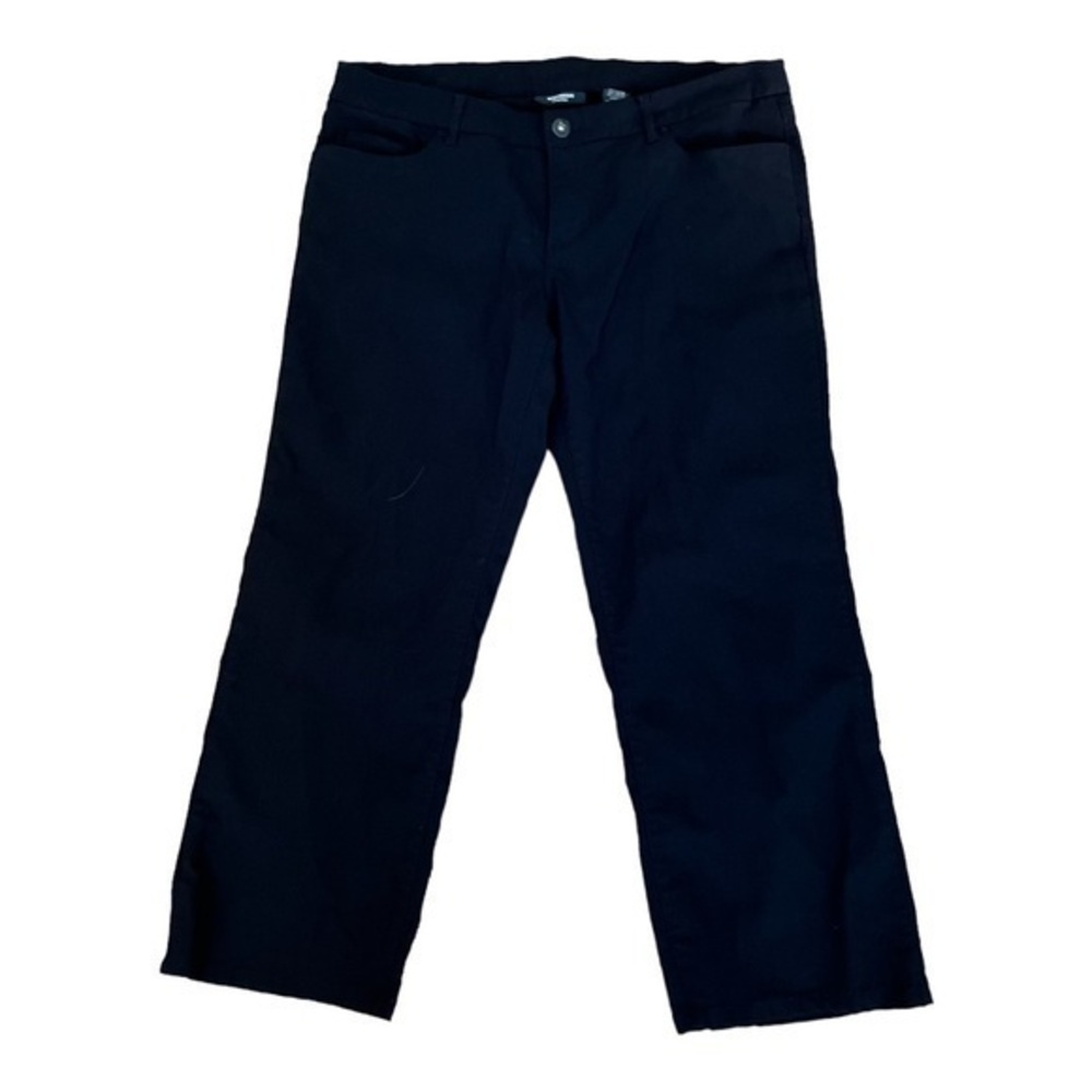Express stretch Capri pants